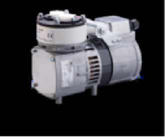 DIAPHRAGM PUMPS