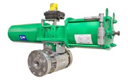 Trunnion Metal Seated Ball Valves